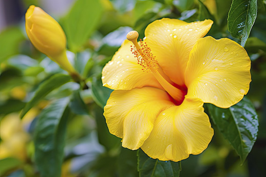 1756025 (a): :2560x1707